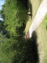 IMG_0067