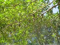 IMG_0069