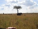 IMG_0071