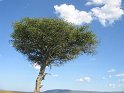 IMG_0072