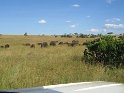 IMG_0073
