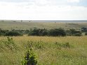 IMG_0078
