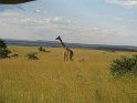 IMG_0079