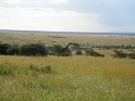 IMG_0081