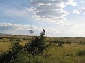 IMG_0082
