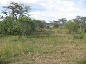 IMG_0083