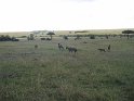 IMG_0084