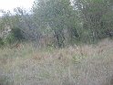 IMG_0098
