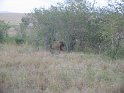 IMG_0100