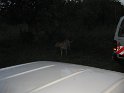 IMG_0103