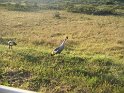 IMG_0112