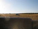 IMG_0113