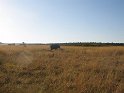 IMG_0115