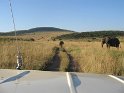 IMG_0117