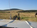 IMG_0118