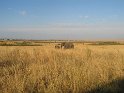 IMG_0119