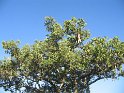 IMG_0120