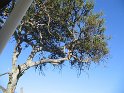 IMG_0121