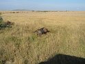IMG_0124