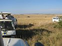 IMG_0125