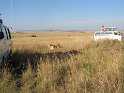 IMG_0126