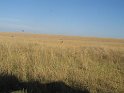 IMG_0127