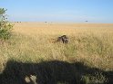 IMG_0128