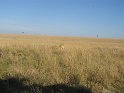 IMG_0129