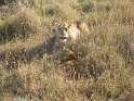 IMG_0133