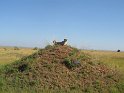 IMG_0134