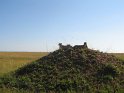 IMG_0136