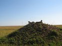 IMG_0137