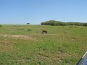 IMG_0139