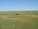 IMG_0140
