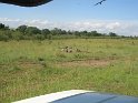 IMG_0141