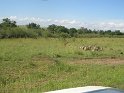 IMG_0142