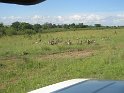 IMG_0143