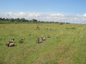 IMG_0144
