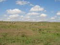 IMG_0147