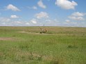IMG_0149