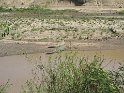 IMG_0151