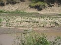 IMG_0152