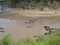 IMG_0153