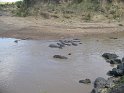IMG_0155