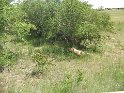 IMG_0161