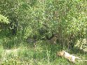 IMG_0163