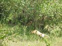 IMG_0164