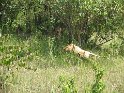IMG_0165