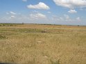 IMG_0166