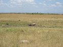 IMG_0167